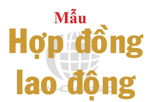 Biểu Mẫu Hợp Đồng Lao Động Mới Nhất hiện nay