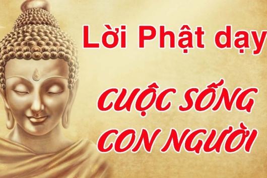 Những Lới Phật Dạy Làm Thay Đổi Cuộc Đời Chúng Ta