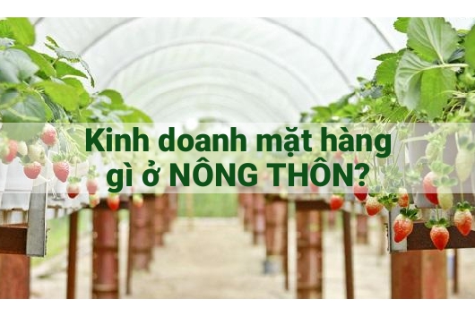 cách kiếm tiền ở nông thôn