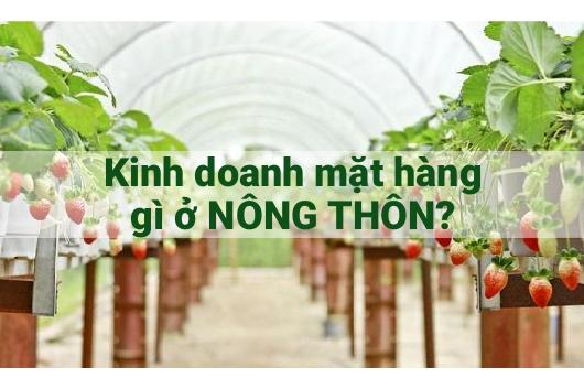 Kinh Doanh Gì Ở Nông Thôn Thì Phù Hợp Xu Hướng