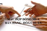 mau-hop-dong-mua-ban-hang-hoa