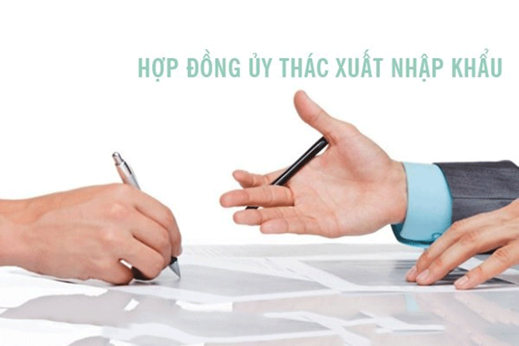 hop-dong-nhap-khaucxcxcx