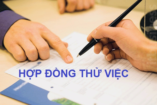 Thử Việc Có Nhất Thiết Phải Ký Hợp Đồng..? Cách Soạn Hợp Đồng Đúng Luật