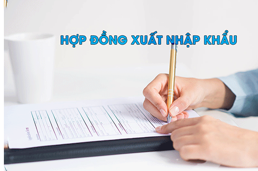 Mẫu Hợp Đồng Nhập Khẩu Đầy Đủ. Thông Tin Quan Trọng Cho Người Mới