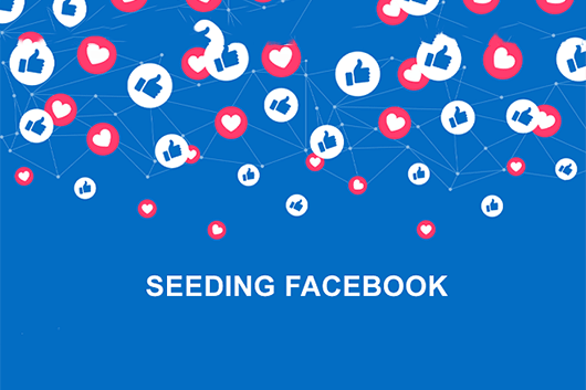 Các mẹo Seeding Facebook thu hút khách hàng đơn giản hiệu quả