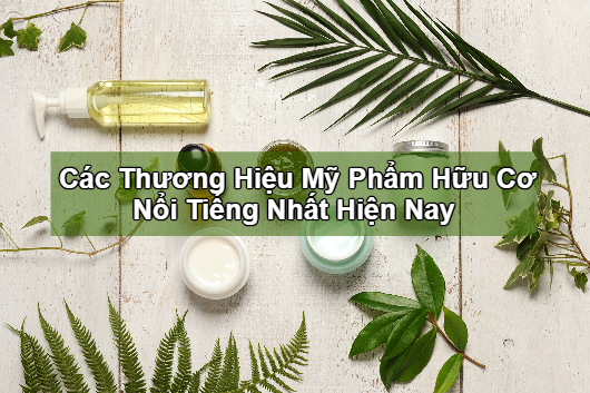 Các Thương Hiệu Mỹ Phẩm Hữu Cơ Nổi Tiếng Nhất Hiện Nay