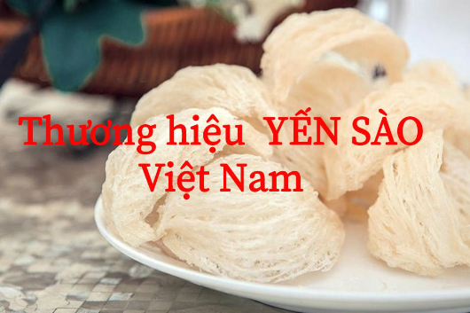 Những Thương Hiệu Yến Sào Nổi Tiếng Nhất Của Việt Nam Hiện Nay