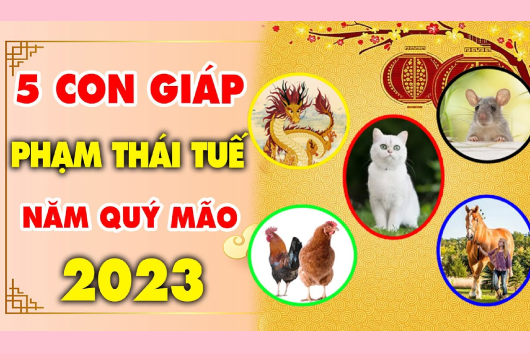 Cách Hoá Giải Tuổi Phạm Thái Tuế Trong Năm Quý Mão 2023