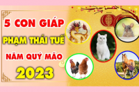 cach-hoa-giai-tuoi-pham-thai-tue-trong-nam-quy-mao-2023