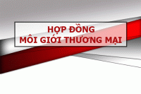 hop-dong-moi-gioi-thuong-mai-tY
