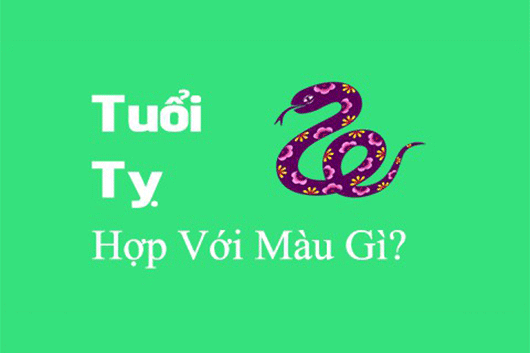 Tuổi tỵ chọn màu sơn nhà nào hợp với phong thuỷ