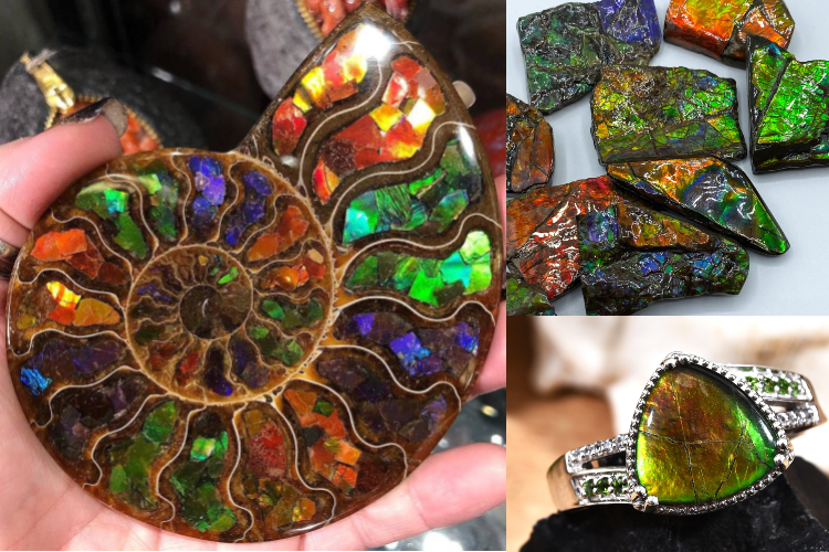 Da-quy-Ammonite-Ammolite